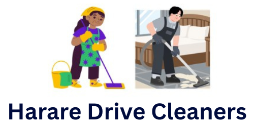 Harare Drive Cleaners Logo